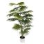 MOUNTAIN PALM 120CM GREEN