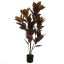 BLACK RUBBER PLANT 120CM BURGUNDY