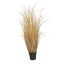 GRASS IN POT 74 CM BEIGE