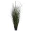 GRASS IN POT 125CM GREEN