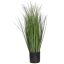 GRASS IN POT 70CM GREEN