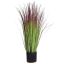 GRASS IN POT 70CM GREEN RED