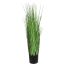GRASS IN POT 90CM GREEN