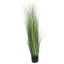 GRASS IN POT 150CM GREEN