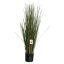 FR PLASTIC HONEY GRASS 80CM GREEN