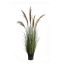 GRASS W/7 REEDS 170CM GREEN