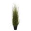 GRASS W/FOXTAIL IN POT H 127CM CREAM