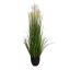 GRASS W/PLUM IN POT H 122CM CREAM