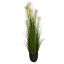GRASS W/PLUM IN POT H 137CM CREAM