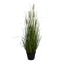 GRASS W/FOXTAIL IN POT H 90 CM CREAM