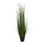 GRASS W/FOXTAIL IN POT H 135 CM CREAM