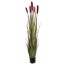 PAMPAS GRASS 180CM BURGUNDY