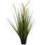 GRASS W/CATTAIL IN POT 75 CM GREEN