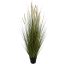 GRASS W/CATTAIL IN POT 152 CM GREEN