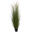 GRASS W/CATTAIL IN POT 183 CM GREEN
