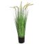 GRASS W/PLUM 150CM GREEN