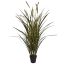 GRASS W/PLUM IN POT 104CM GREEN