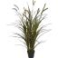 GRASS W/PLUM IN POT 120CM GREEN