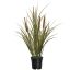 GRASS W/PLUM IN POT 48CM GREEN