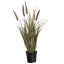 GRASS W/PLUM IN POT 56CM GREEN
