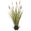 GRASS ON MUD BASE 46CM PEACH