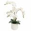 ORCHID X3 IN POT 62CM WHITE
