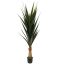 AGAVE PLANT 145CM GREEN