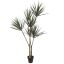 YUCCA PLANT 180CM GREEN
