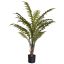 FOOT FERN PLANT IN POT 110CM GREEN