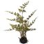 MOSS BASE FERN 45CM GREEN