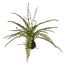 FERN ON MUD BASE H48 D57CM GREEN