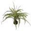 FERN ON MUD BASE H56 D80CM GREEN