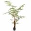 FERN TREE 210CM GREEN
