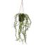 MINI HANGING LVS IN POT 50CM GREEN