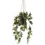 EUCALYPTUS HANGING IN POT 50CM GREEN