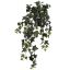 HANGING BUSH IN POT 60CM ENGLISH