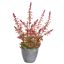 LAVENDER IN GREY POT 50CM PINK