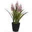 ALOE FLOWER IN POT 55CM LAVENDER