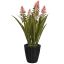 ALOE FLOWER IN POT 55CM ORANGE