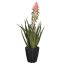 ALOE WITH FLOWER IN POT 42CM ORANGE 