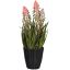 ALOE WITH FLOWER IN POT 48CM ORANGE 