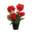 GERANIUM IN POT 31CM RED