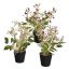 GYPSO IN POT 28CM ASSORTED