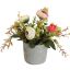 RANUNCULUS IN POT 17CM PINK