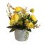 RANUNCULUS IN POT 17CM YELLOW