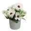 GERBERA IN POT 17CM CREAM