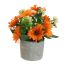 GERBERA IN POT 17CM ORANGE