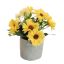GERBERA IN POT 17CM YELLOW
