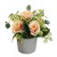 ROSE IN POT 17CM SALMON