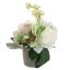 ROSE HYDRANGEA IN POT 20CM CREAM